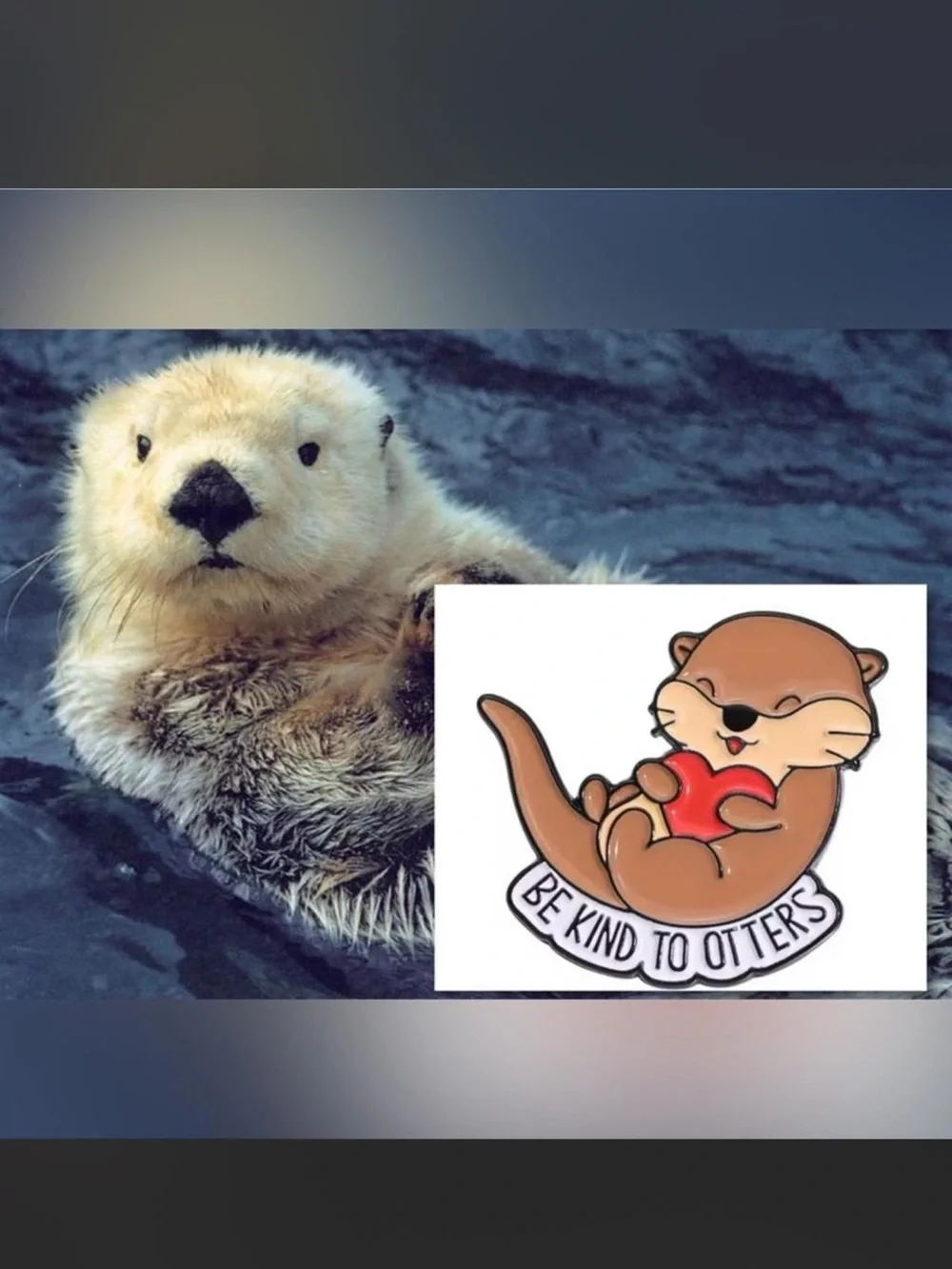 $2 Be Kind to Otters Pin $2 WHEN BUNDLED WITH 3 or more Items